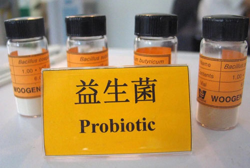 益生菌怎么冲泡最好