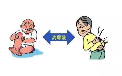 痛风怎么引起的